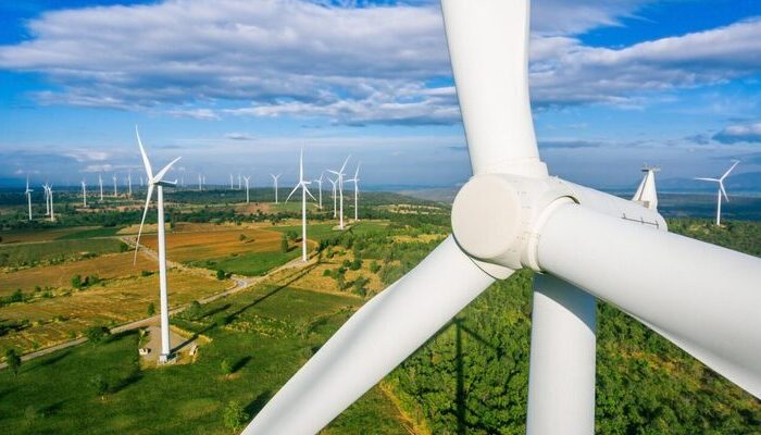 Campo con molinos de energía eólica