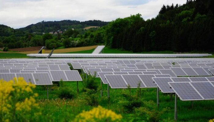 Paneles solares
